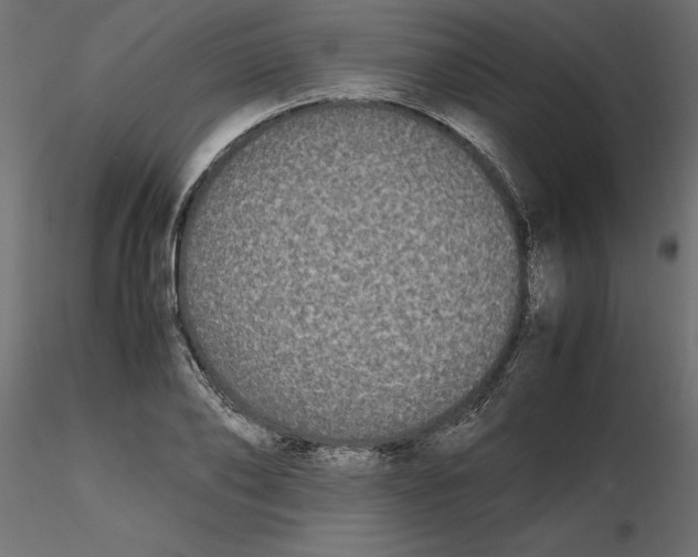 X0000116560886200912311930