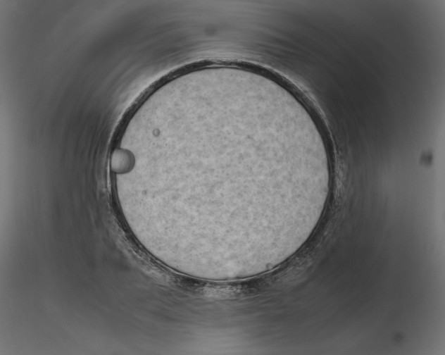 X0000116560887200912311930