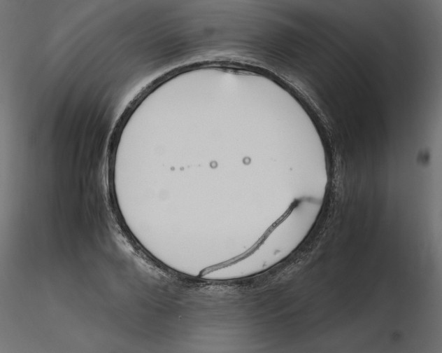 X0000116560888200912311930