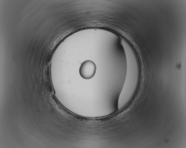 X0000116560889200912311930