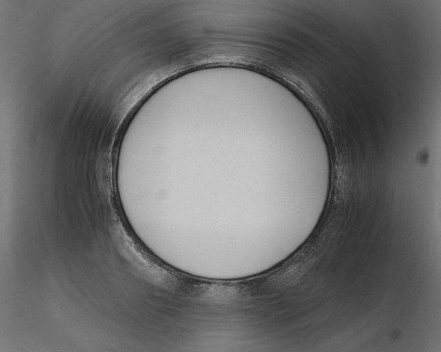 X0000116560890200912311930