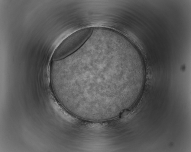 X0000116560892200912311930