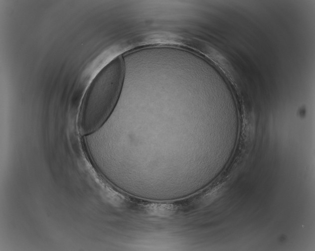 X0000116560893200912311930