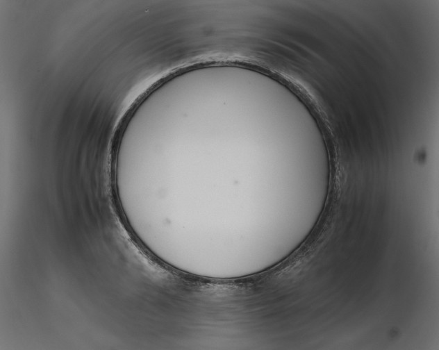 X0000116560894200912311930