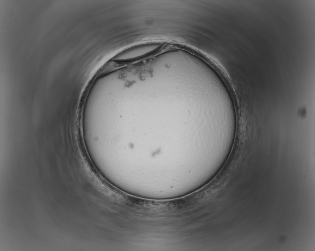 X0000116560895200912311930