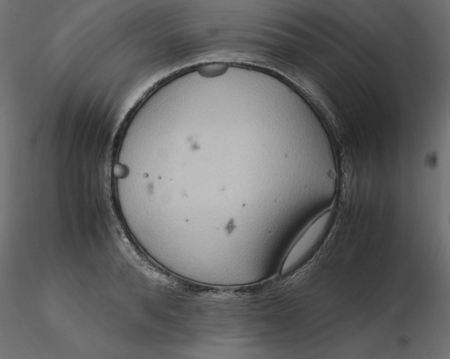 X0000116560896200912311930