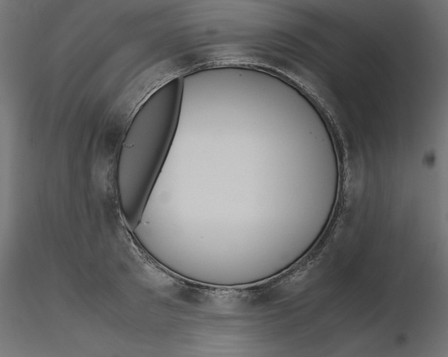 X0000116560897200912311930