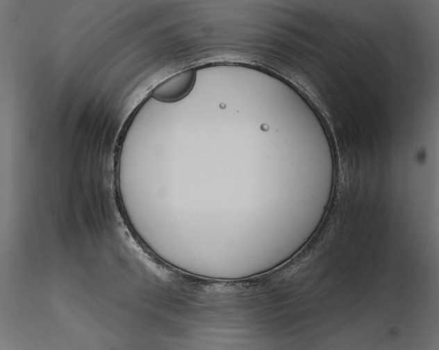 X0000116560898200912311930