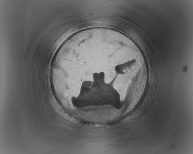 X0000116560899200912311930