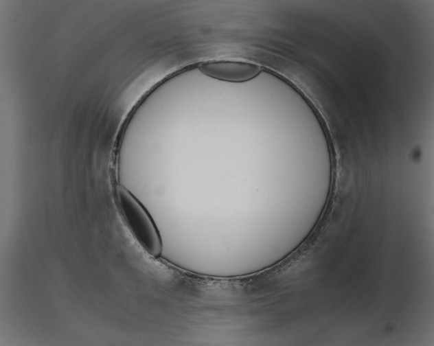 X0000116560901200912311930