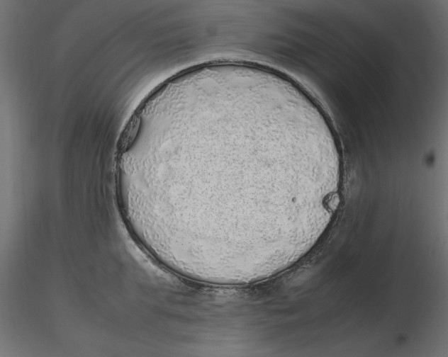 X0000116560903200912311930