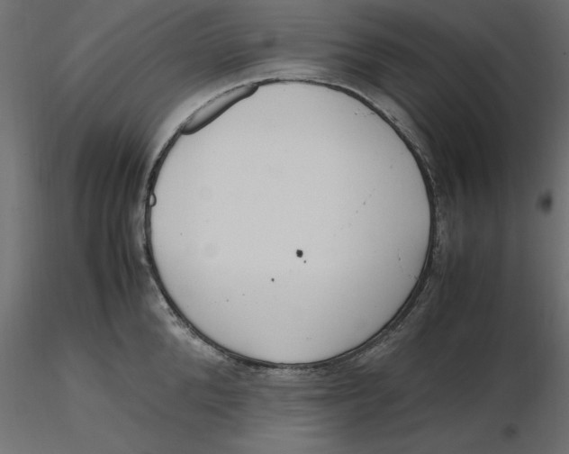 X0000116560904200912311930