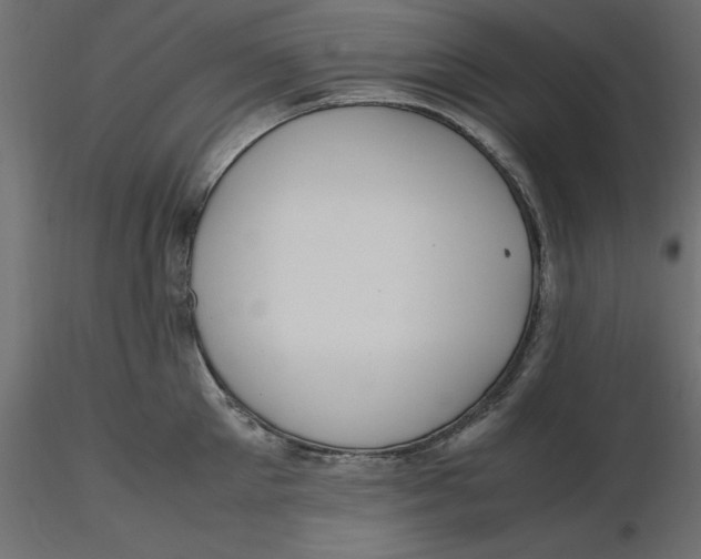 X0000116560905200912311930