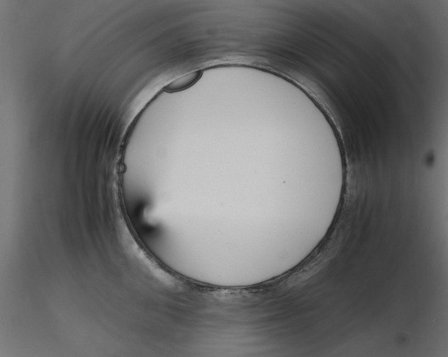 X0000116560906200912311930