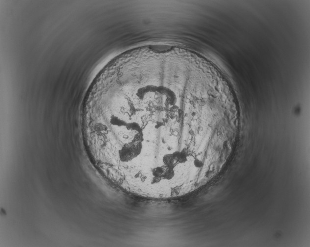 X0000116560907200912311930