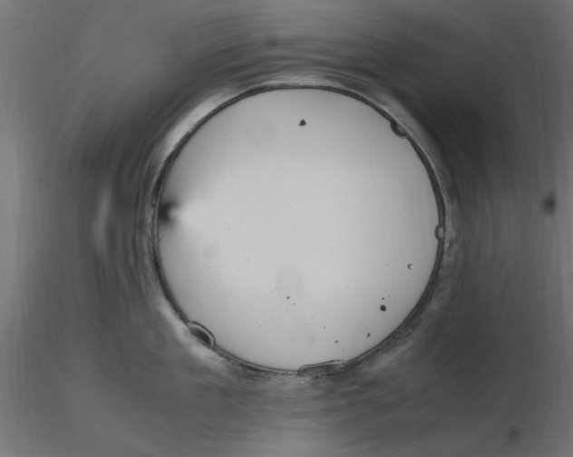 X0000116560909200912311930