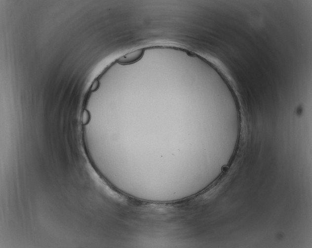 X0000116560910200912311930