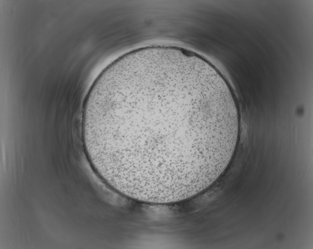 X0000116560911200912311930