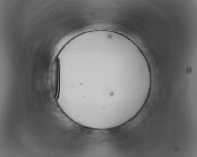 X0000116560912200912311930