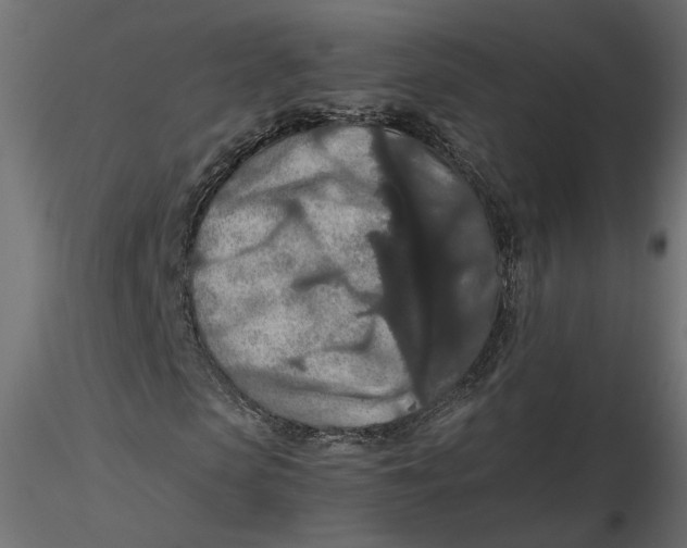 X0000116560913200912311929