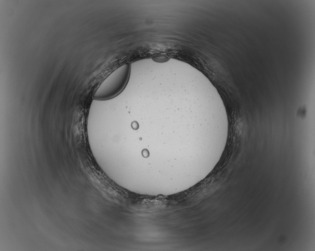 X0000116560914200912311929