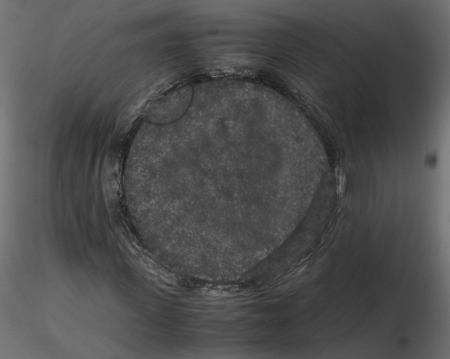 X0000116560915200912311929