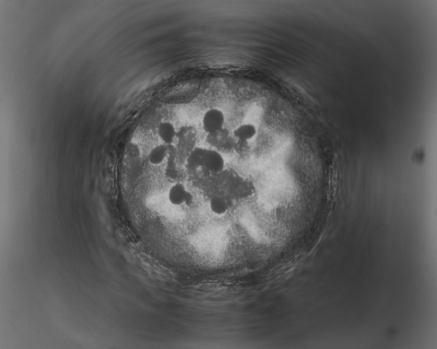 X0000116560917200912311929