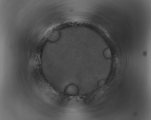 X0000116560918200912311929