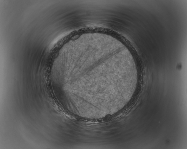 X0000116560919200912311929