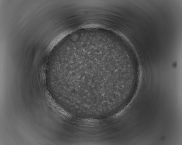 X0000116560921200912311929