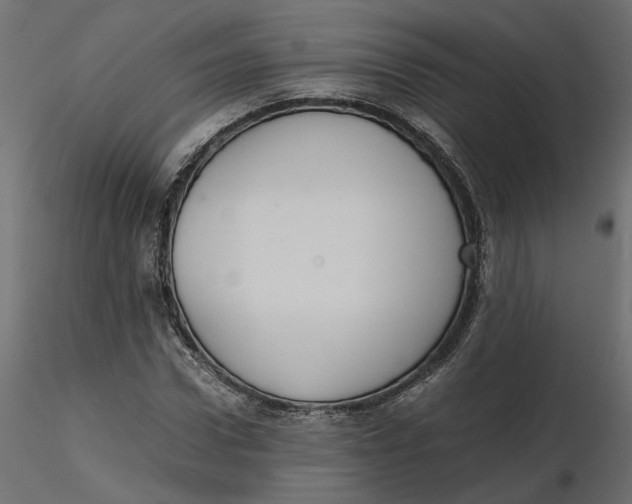 X0000116560922200912311929