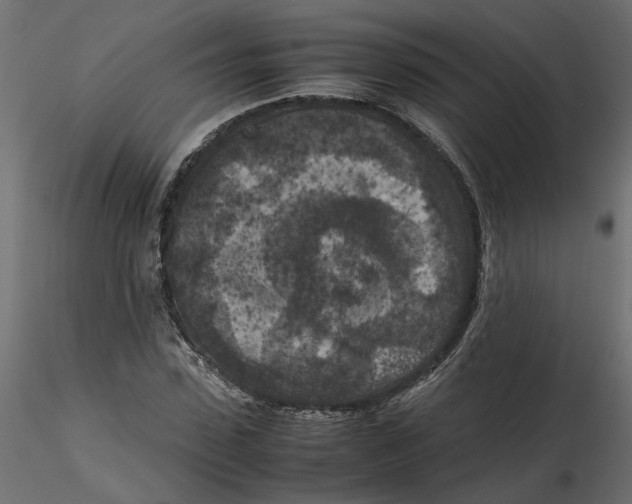 X0000116560923200912311929