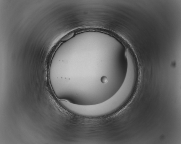 X0000116560925200912311929