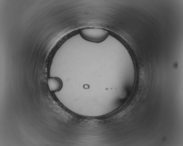 X0000116560926200912311929