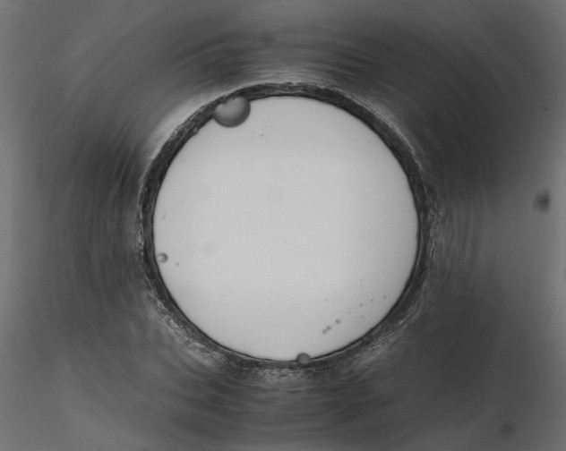 X0000116560927200912311929