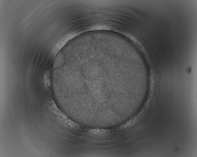 X0000116560929200912311929