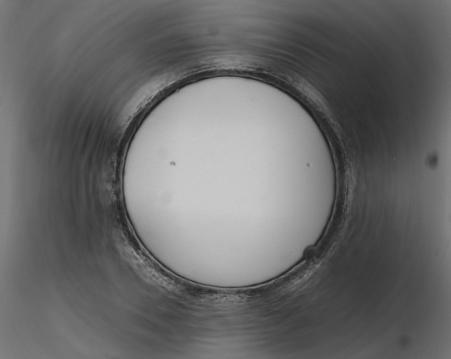 X0000116560930200912311929