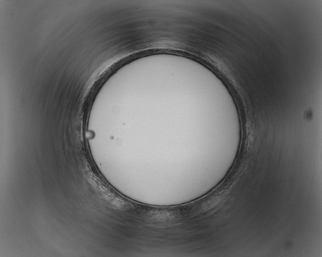 X0000116560931200912311929