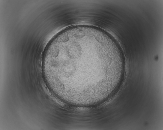 X0000116560933200912311929