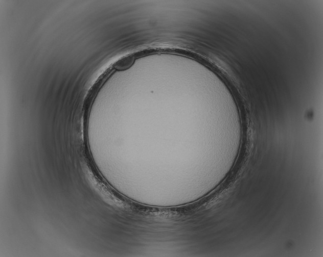 X0000116560934200912311929