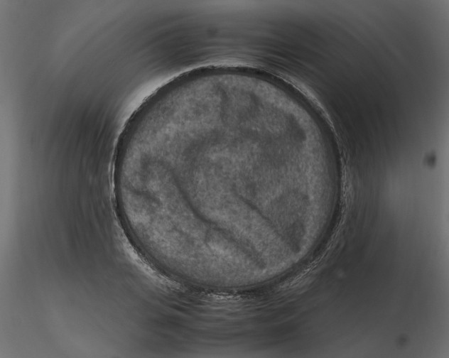 X0000116560935200912311929