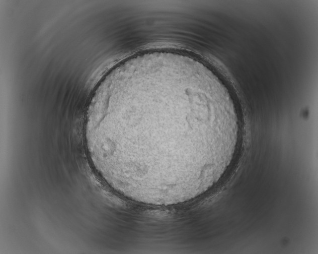 X0000116560937200912311929