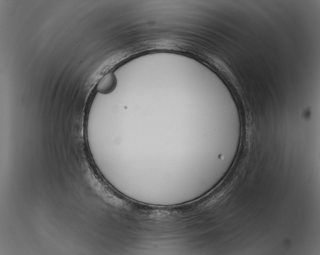 X0000116560938200912311929