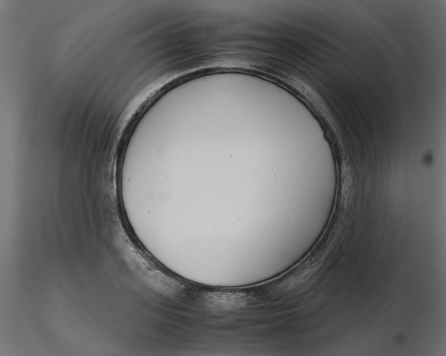 X0000116560939200912311929