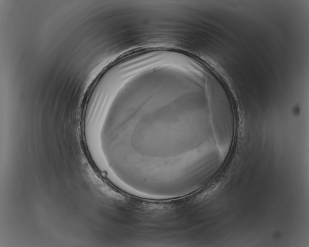 X0000116560941200912311929