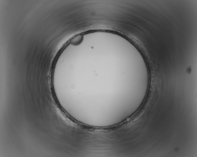 X0000116560942200912311929