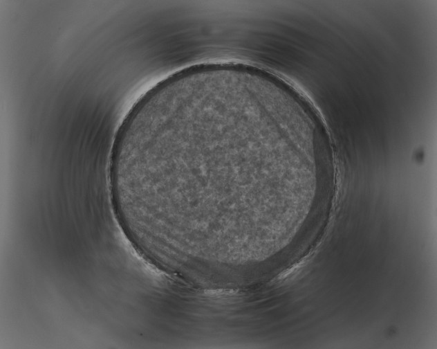 X0000116560943200912311929