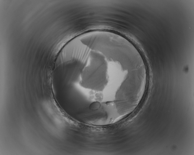 X0000116560945200912311929