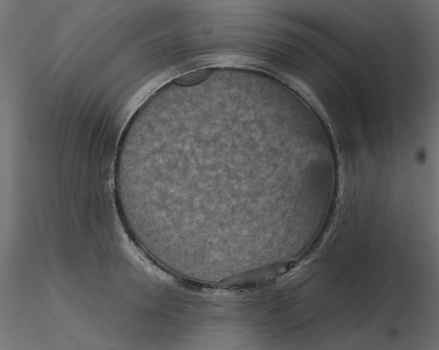 X0000116560946200912311930