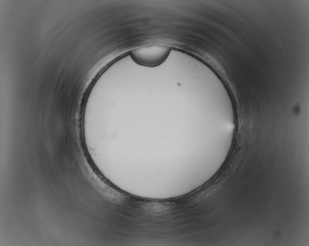 X0000116560947200912311930